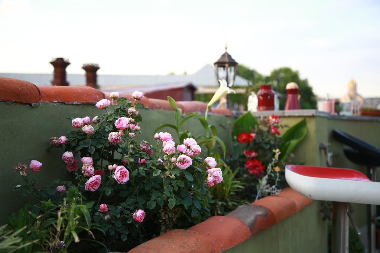 Terrace Garden Boutique Hotel Tbilisi Eksteriør bilde