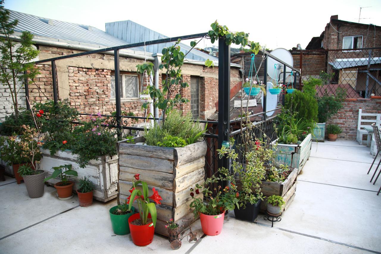 Terrace Garden Boutique Hotel Tbilisi Eksteriør bilde